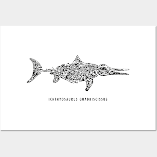 Ichthyosaurus Quadriscissus skeleton illustration Posters and Art